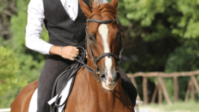 How can a rider develop better balance and coordination?