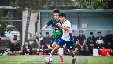 strategic performance audit analysis